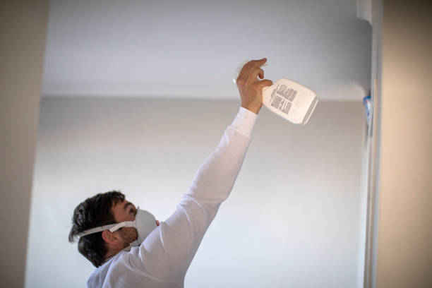Best Industrial Mold Remediation in Woodville, WI