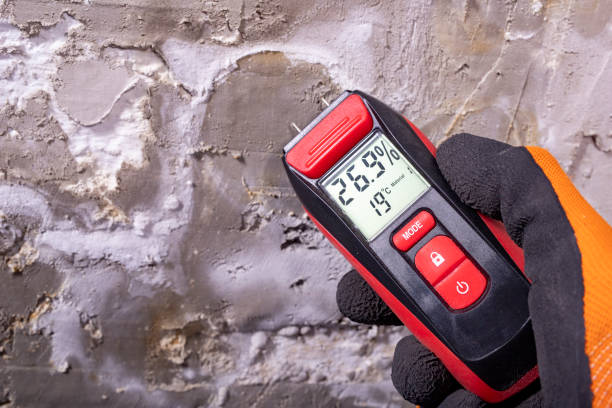 Best Mold Testing and Inspection Services in Woodville, WI